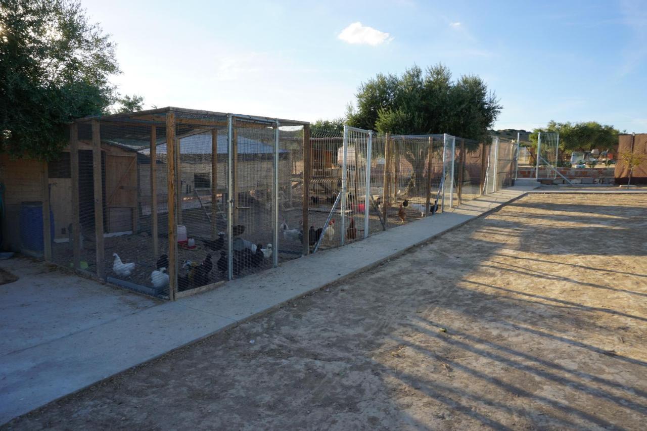 Villa Cuchi Farm Chinchón Esterno foto