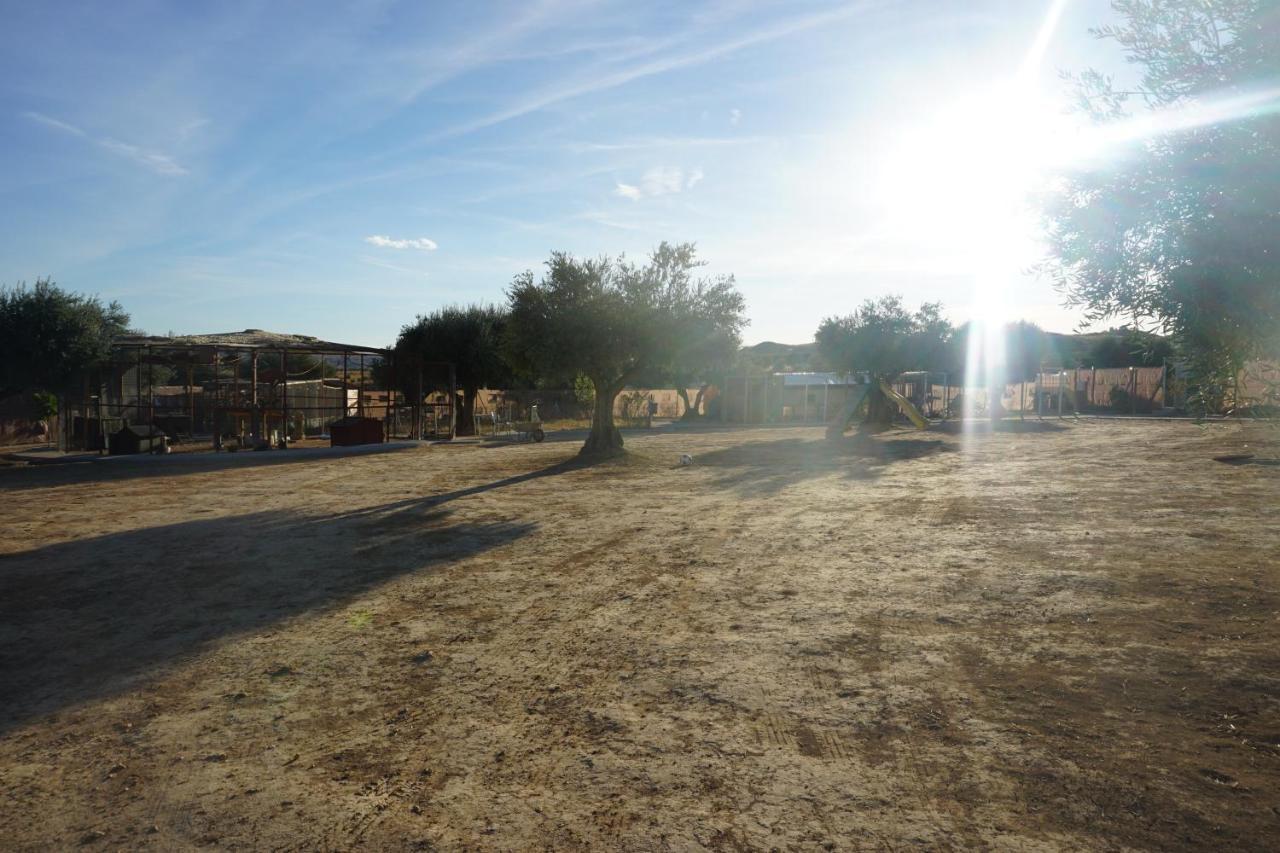 Villa Cuchi Farm Chinchón Esterno foto